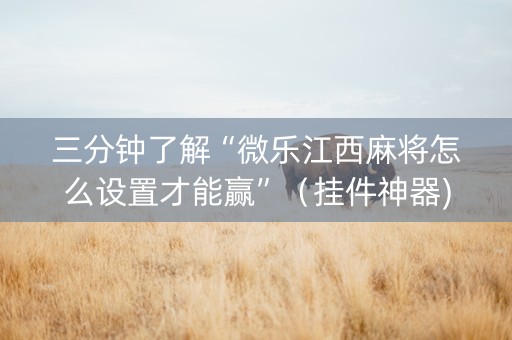 三分钟了解“微乐江西麻将怎么设置才能赢”（挂件神器)