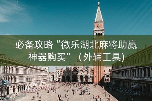 必备攻略“微乐湖北麻将助赢神器购买”（外辅工具)