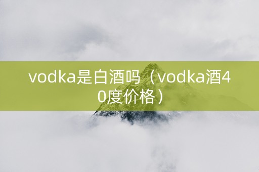 vodka是白酒吗（vodka酒40度价格）
