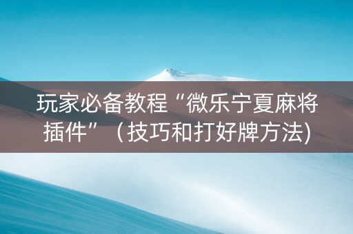 玩家必备教程“微乐宁夏麻将插件”（技巧和打好牌方法)