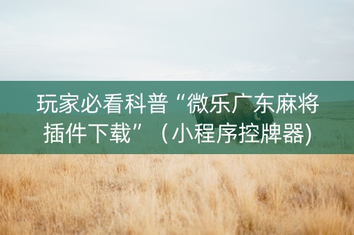 玩家必看科普“微乐广东麻将插件下载”（小程序控牌器)
