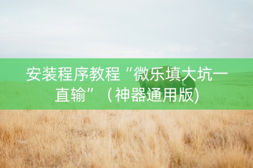安装程序教程“微乐填大坑一直输”（神器通用版)