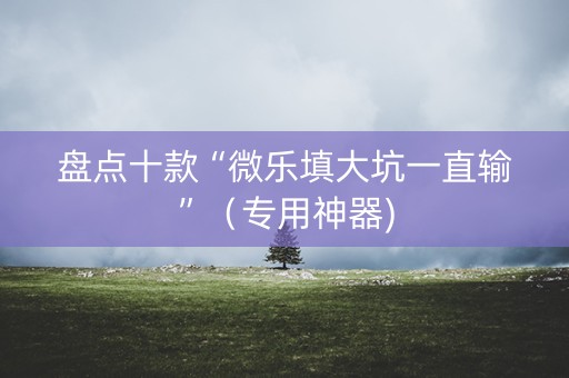 盘点十款“微乐填大坑一直输”（专用神器)