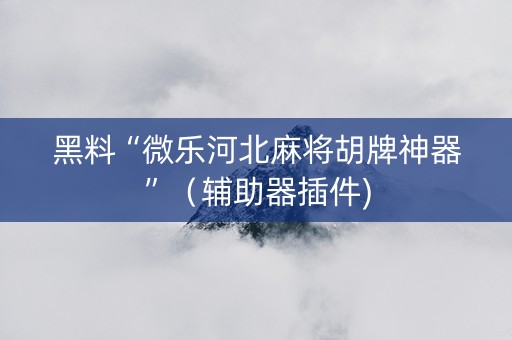 黑料“微乐河北麻将胡牌神器”（辅助器插件)