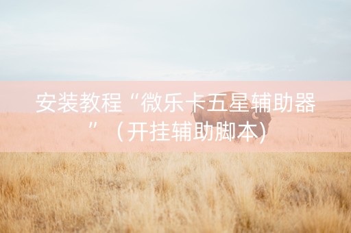 安装教程“微乐卡五星辅助器”（开挂辅助脚本)