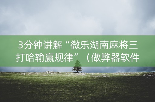 3分钟讲解“微乐湖南麻将三打哈输赢规律”（做弊器软件下载)