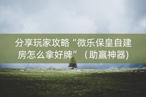 分享玩家攻略“微乐保皇自建房怎么拿好牌”（助赢神器)