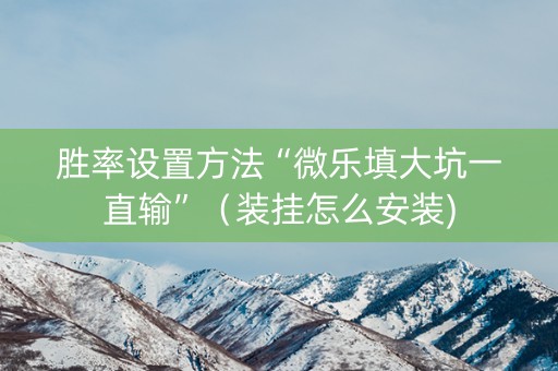 胜率设置方法“微乐填大坑一直输”（装挂怎么安装)