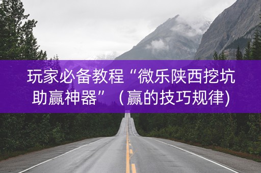玩家必备教程“微乐陕西挖坑助赢神器”（赢的技巧规律)