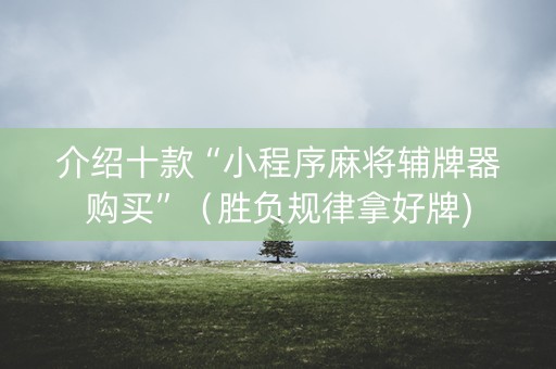 介绍十款“小程序麻将辅牌器购买”（胜负规律拿好牌)
