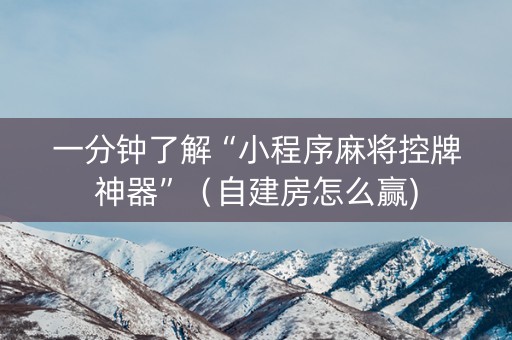 一分钟了解“小程序麻将控牌神器”（自建房怎么赢)