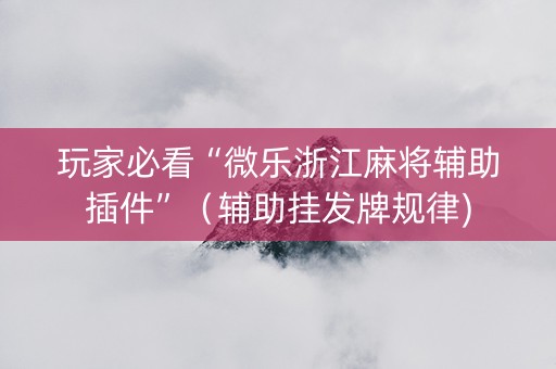 玩家必看“微乐浙江麻将辅助插件”（辅助挂发牌规律)