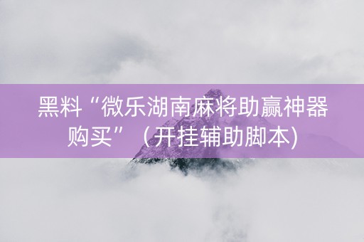 黑料“微乐湖南麻将助赢神器购买”（开挂辅助脚本)