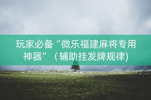 玩家必备“微乐福建麻将专用神器”（辅助挂发牌规律)