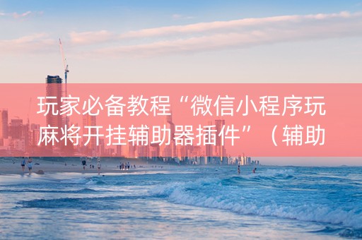 玩家必备教程“微信小程序玩麻将开挂辅助器插件”（辅助器通用版)