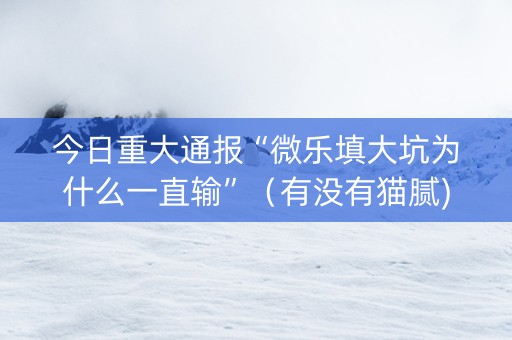 今日重大通报“微乐填大坑为什么一直输”（有没有猫腻)