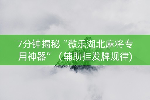 7分钟揭秘“微乐湖北麻将专用神器”（辅助挂发牌规律)