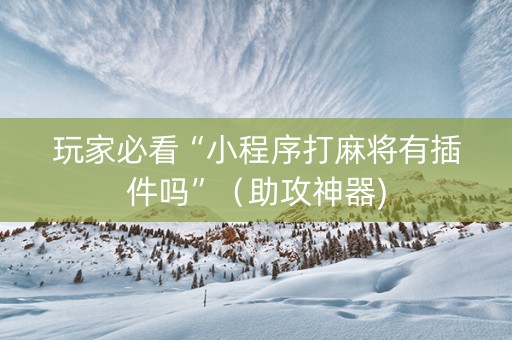玩家必看“小程序打麻将有插件吗”（助攻神器)