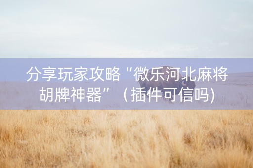 分享玩家攻略“微乐河北麻将胡牌神器”（插件可信吗)