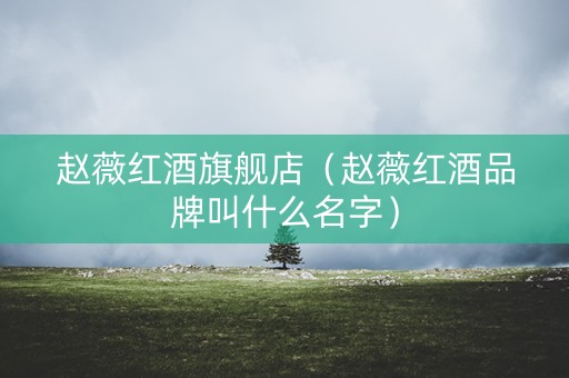 赵薇红酒旗舰店（赵薇红酒品牌叫什么名字）