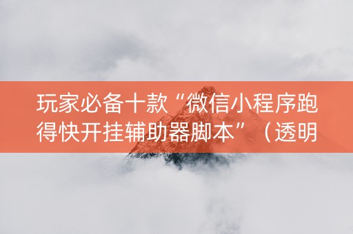 玩家必备十款“微信小程序跑得快开挂辅助器脚本”（透明挂辅助器)