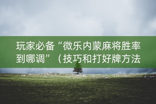 玩家必备“微乐内蒙麻将胜率到哪调”（技巧和打好牌方法)