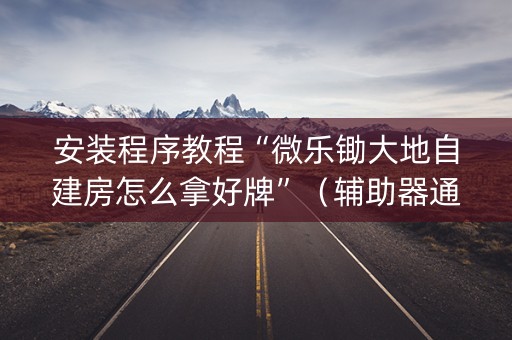 安装程序教程“微乐锄大地自建房怎么拿好牌”（辅助器通用版)