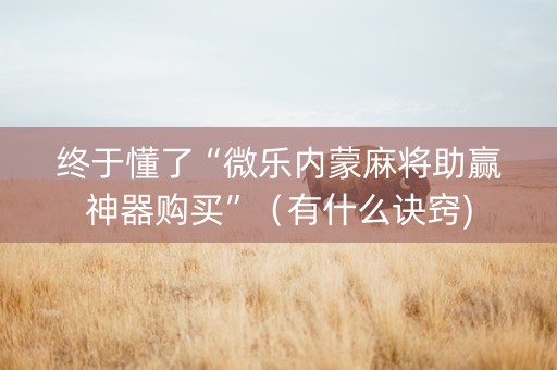 终于懂了“微乐内蒙麻将助赢神器购买”（有什么诀窍)