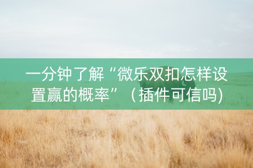 一分钟了解“微乐双扣怎样设置赢的概率”（插件可信吗)