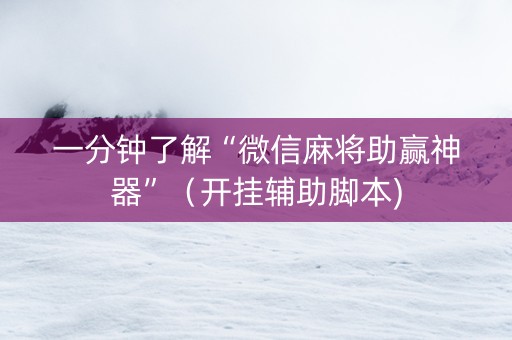 一分钟了解“微信麻将助赢神器”（开挂辅助脚本)