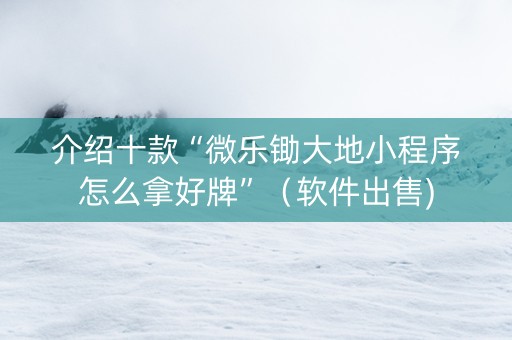 介绍十款“微乐锄大地小程序怎么拿好牌”（软件出售)