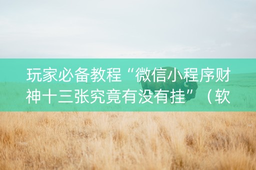 玩家必备教程“微信小程序财神十三张究竟有没有挂”（软挂神器)