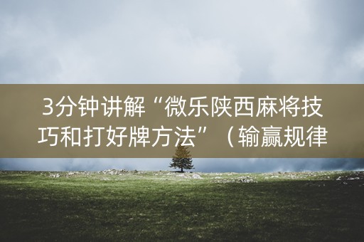 3分钟讲解“微乐陕西麻将技巧和打好牌方法”（输赢规律)