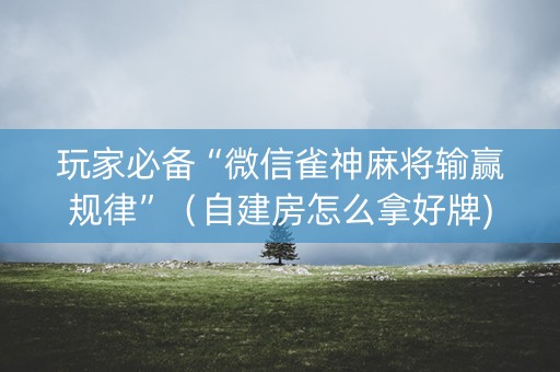 玩家必备“微信雀神麻将输赢规律”（自建房怎么拿好牌)
