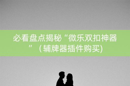 必看盘点揭秘“微乐双扣神器”（辅牌器插件购买)