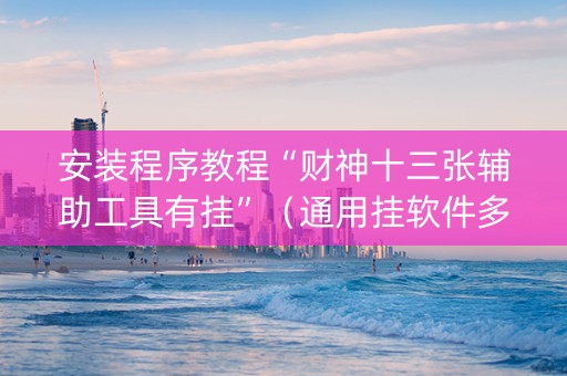 安装程序教程“财神十三张辅助工具有挂”（通用挂软件多少钱)