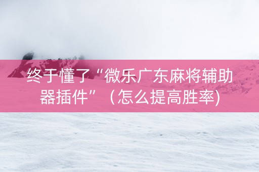 终于懂了“微乐广东麻将辅助器插件”（怎么提高胜率)
