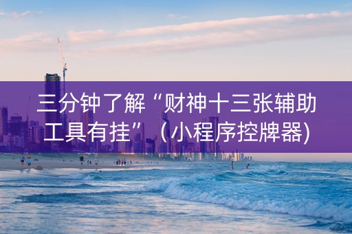 三分钟了解“财神十三张辅助工具有挂”（小程序控牌器)