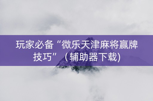 玩家必备“微乐天津麻将赢牌技巧”（辅助器下载)