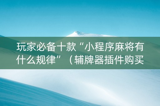 玩家必备十款“小程序麻将有什么规律”（辅牌器插件购买)