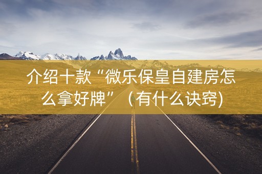 介绍十款“微乐保皇自建房怎么拿好牌”（有什么诀窍)