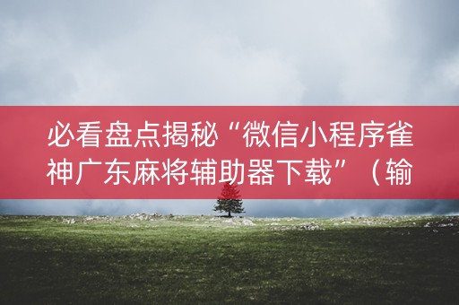 必看盘点揭秘“微信小程序雀神广东麻将辅助器下载”（输赢有什么规律)