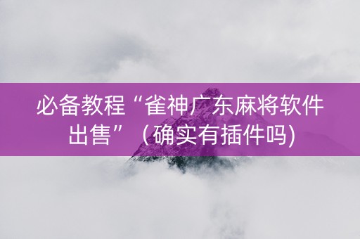 必备教程“雀神广东麻将软件出售”（确实有插件吗)