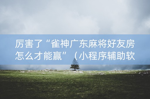 厉害了“雀神广东麻将好友房怎么才能赢”（小程序辅助软件)