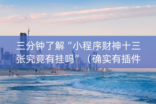 三分钟了解“小程序财神十三张究竟有挂吗”（确实有插件吗)