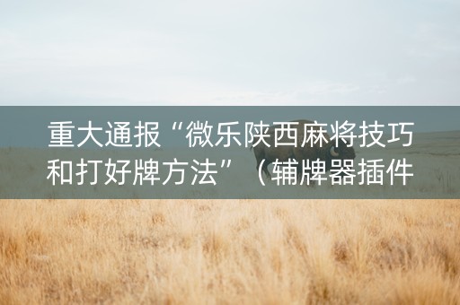 重大通报“微乐陕西麻将技巧和打好牌方法”（辅牌器插件购买)