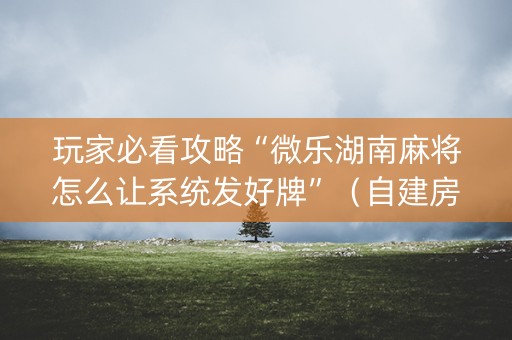 玩家必看攻略“微乐湖南麻将怎么让系统发好牌”（自建房胜负规律)