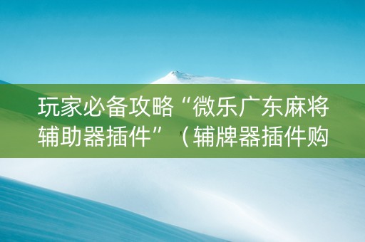 玩家必备攻略“微乐广东麻将辅助器插件”（辅牌器插件购买)