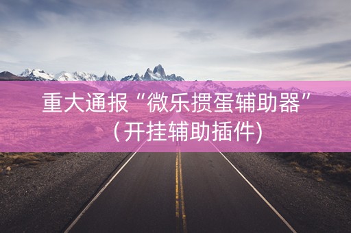 重大通报“微乐掼蛋辅助器”（开挂辅助插件)