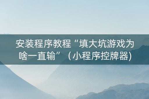 安装程序教程“填大坑游戏为啥一直输”（小程序控牌器)